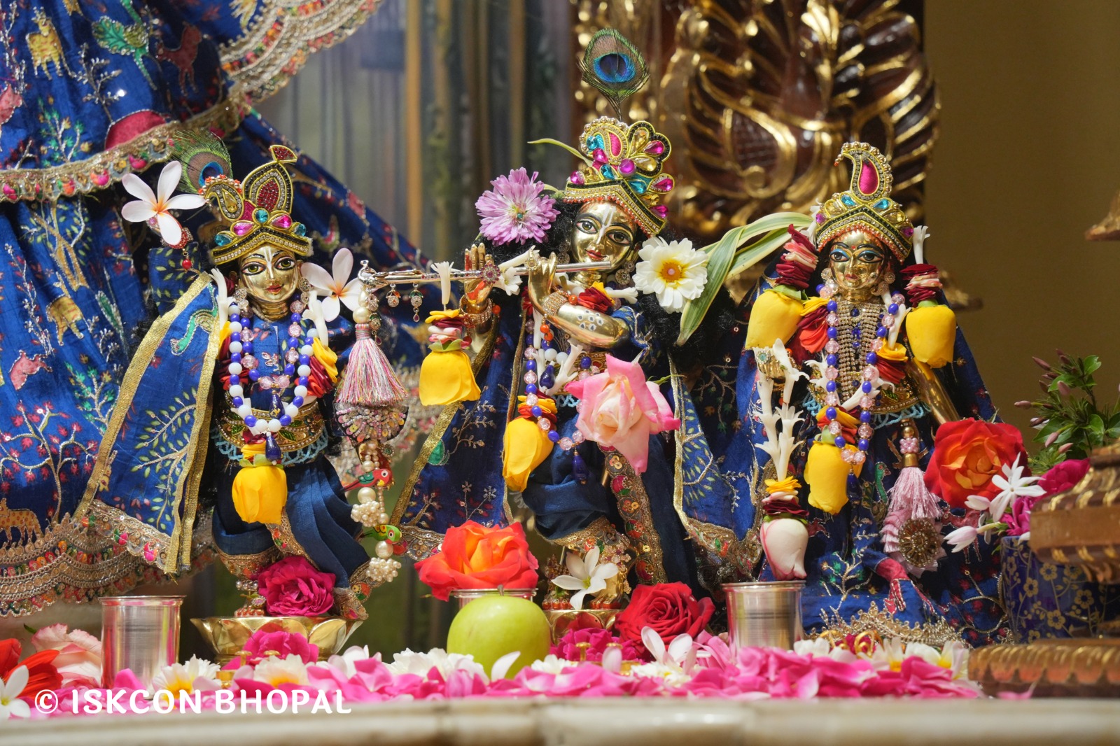 WhatsApp Image 2026-02-20 at 8.07.09 AM (2)