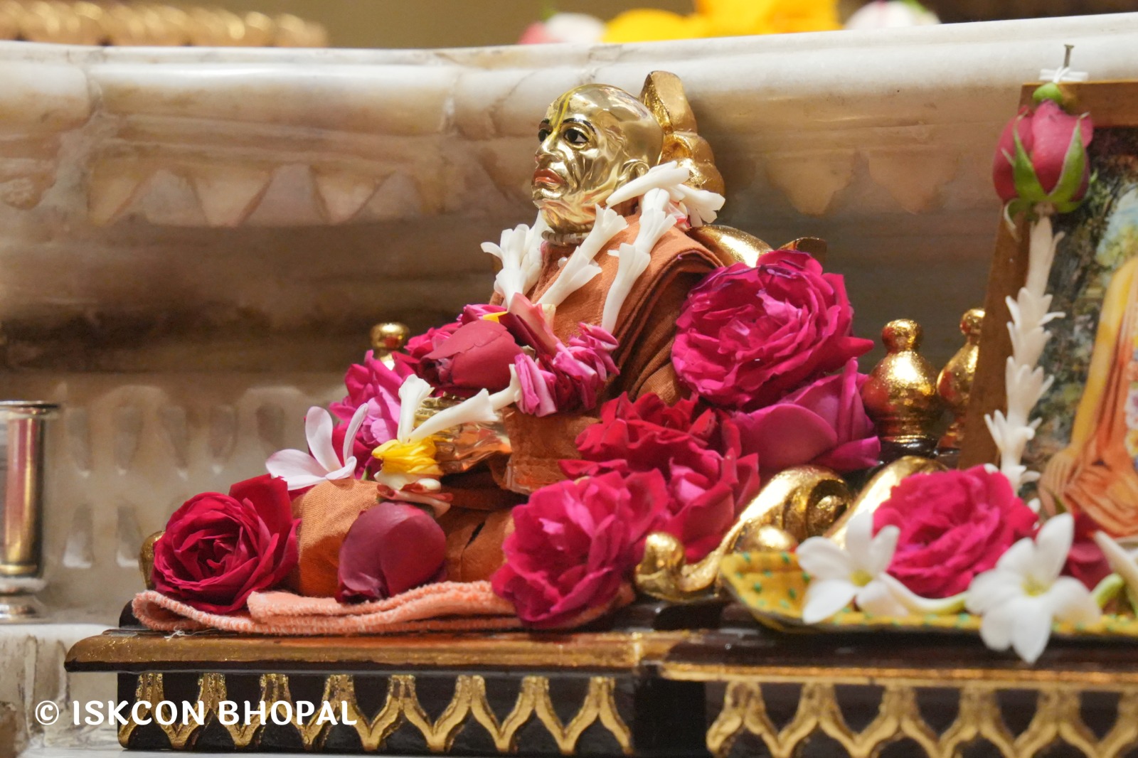 WhatsApp Image 2026-02-20 at 8.07.10 AM (1)