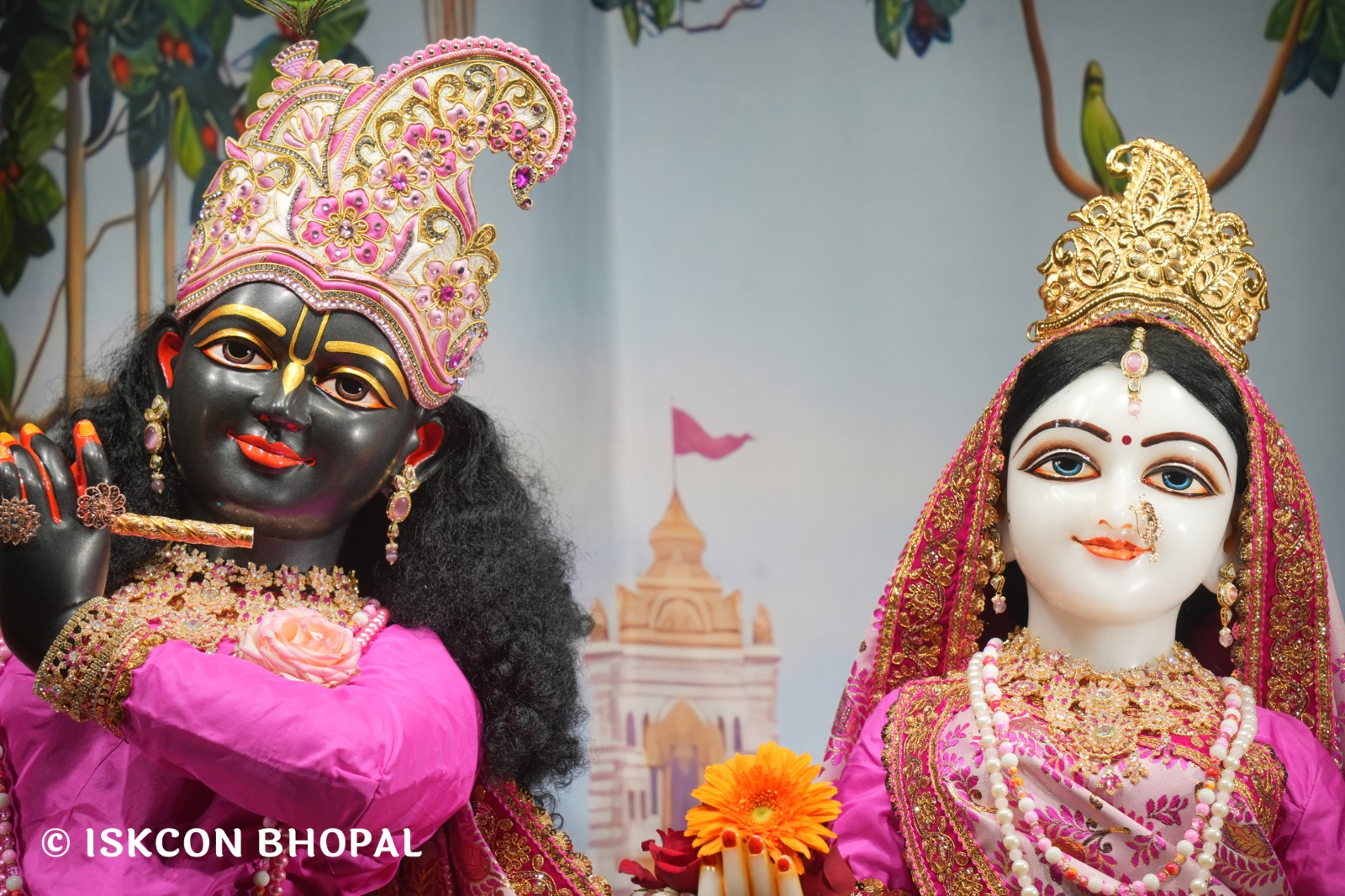 WhatsApp Image 2026-02-21 at 8.03.34 AM