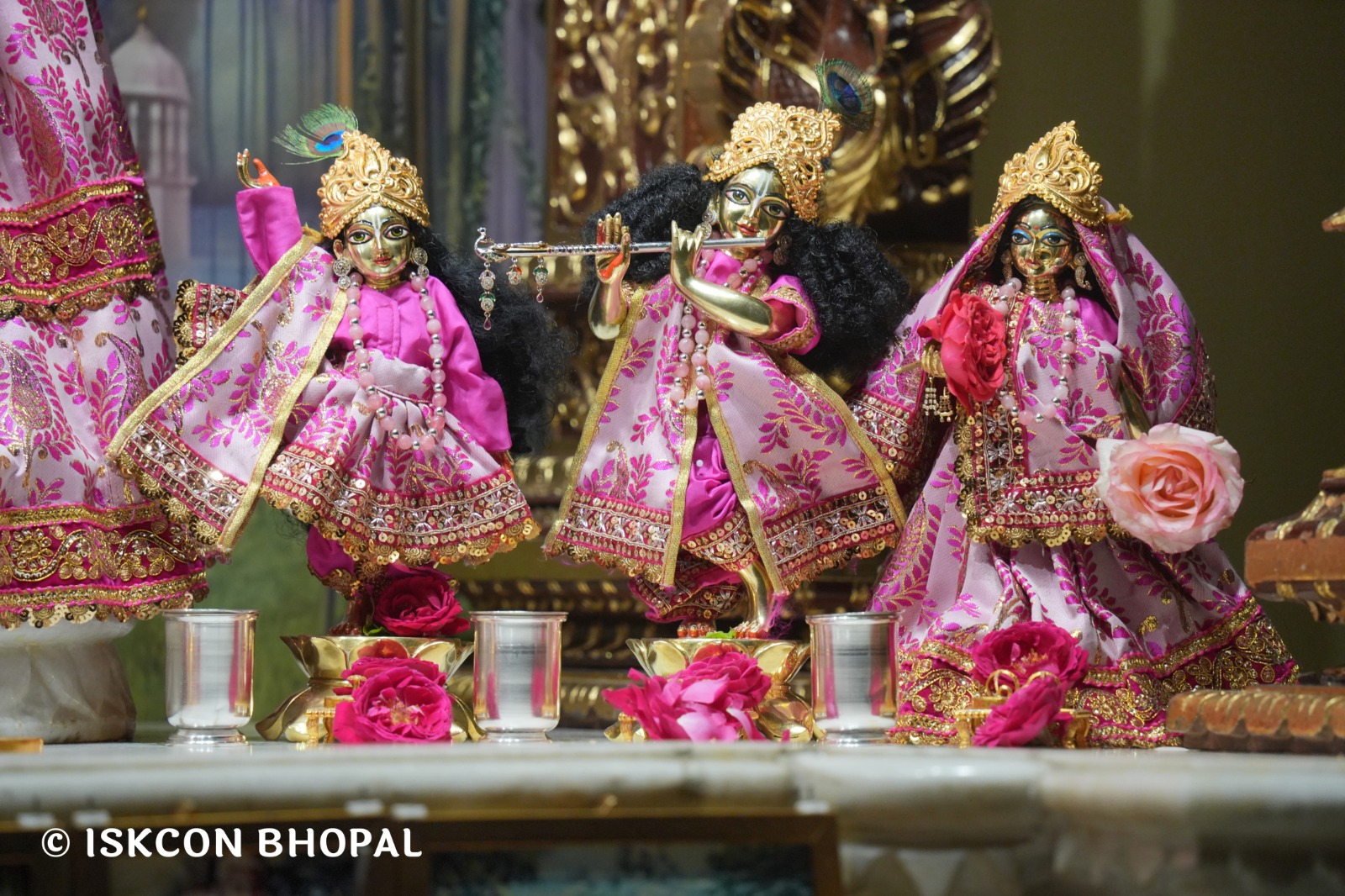 WhatsApp Image 2026-02-21 at 8.03.35 AM (2)