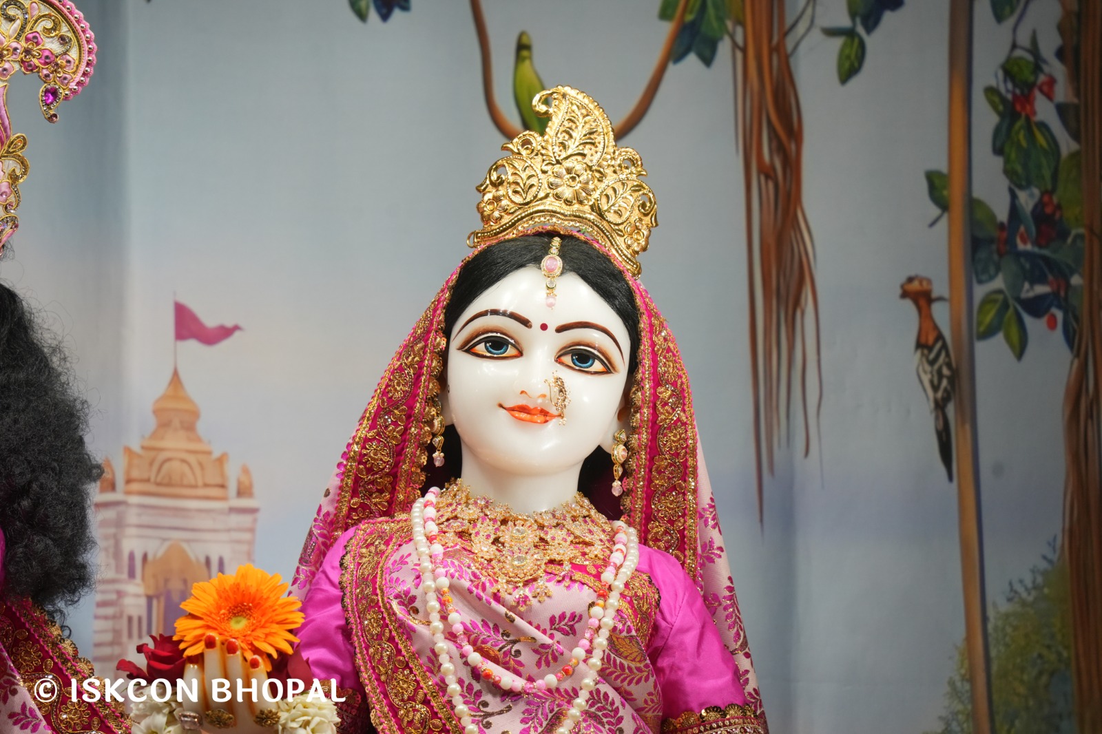 WhatsApp Image 2026-02-21 at 8.03.35 AM