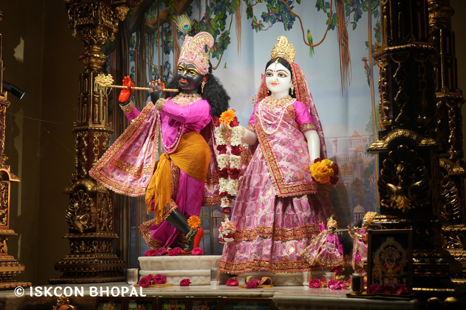 WhatsApp Image 2026-02-21 at 8.03.36 AM