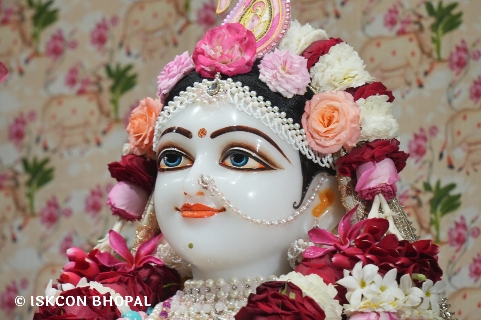 WhatsApp Image 2026-02-21 at 8.05.15 AM (1)