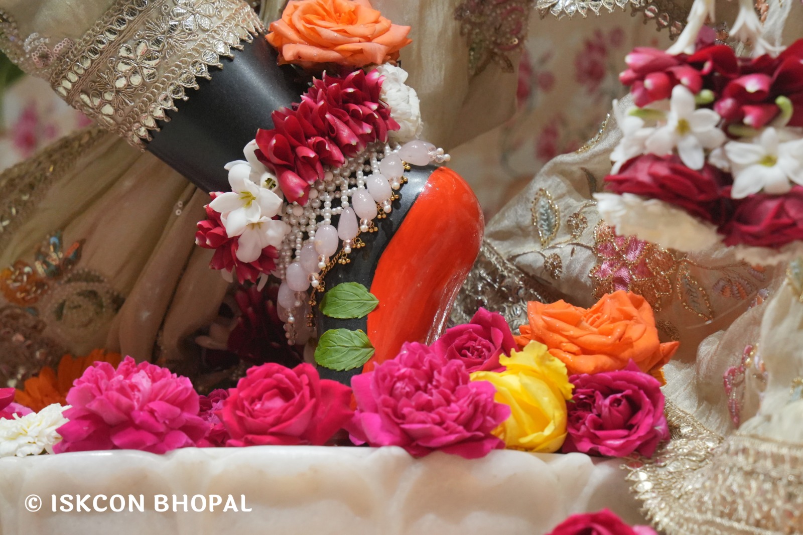 WhatsApp Image 2026-02-21 at 8.05.15 AM