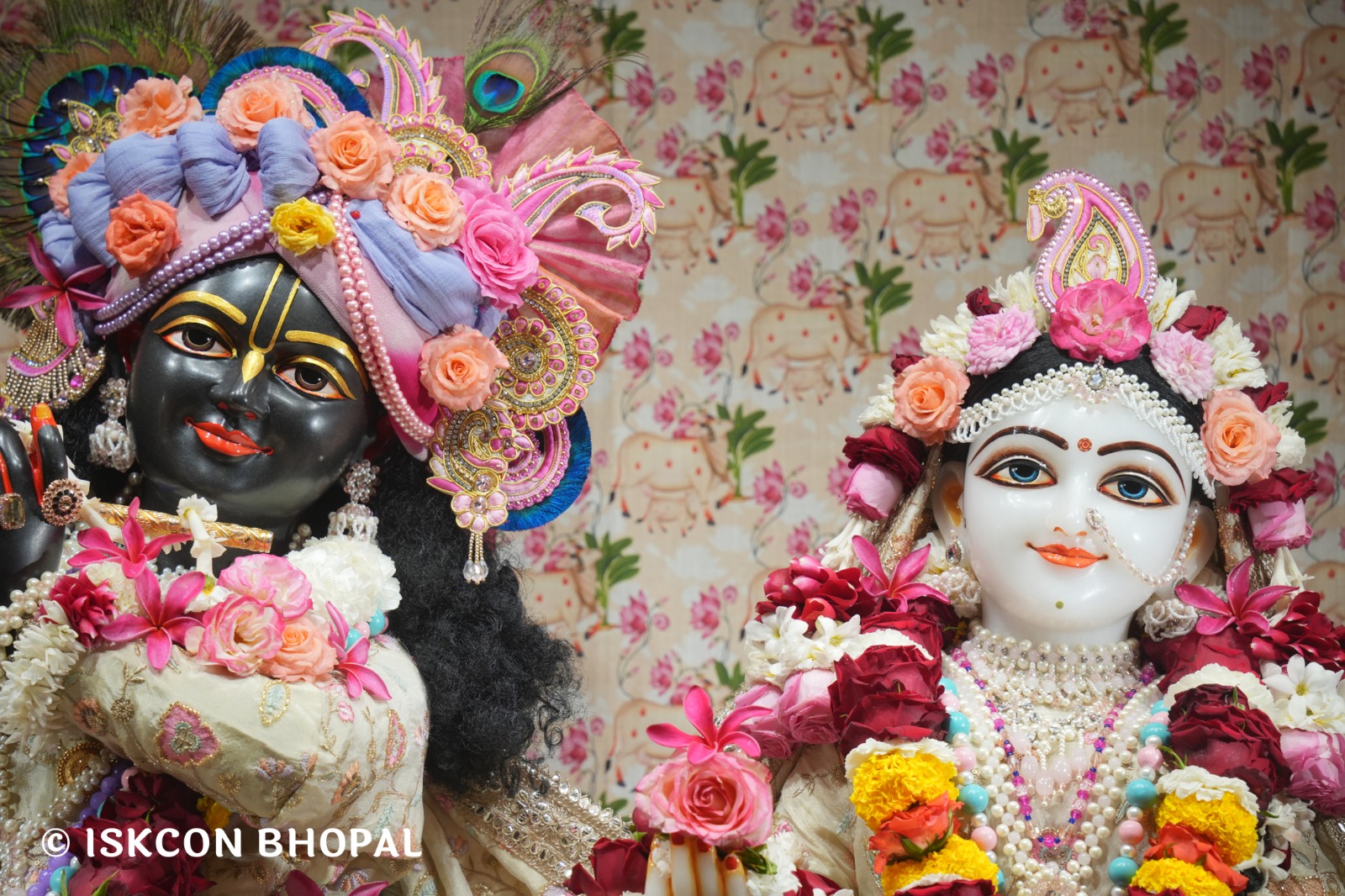 WhatsApp Image 2026-02-21 at 8.05.16 AM (2)