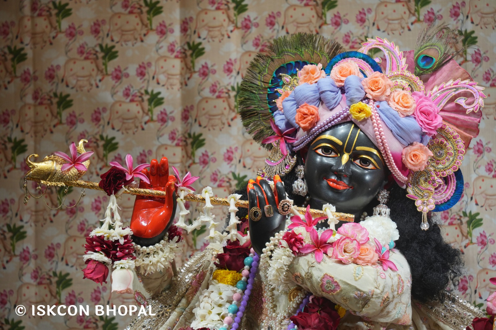 WhatsApp Image 2026-02-21 at 8.05.16 AM (3)