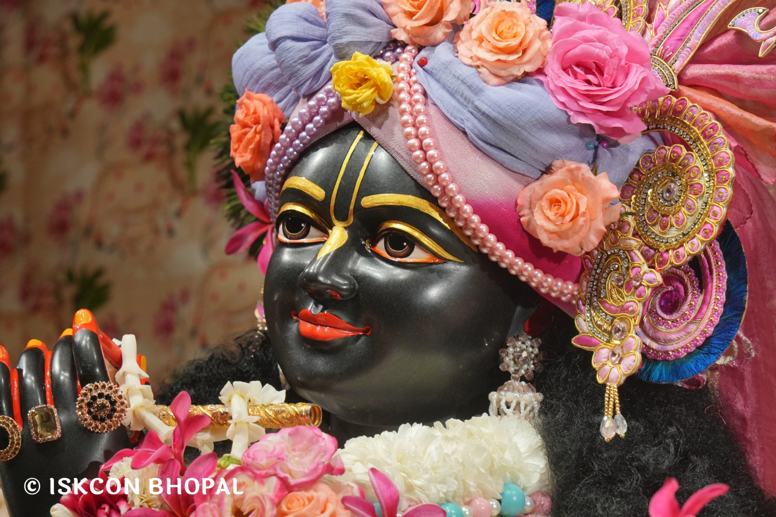 WhatsApp Image 2026-02-21 at 8.05.16 AM