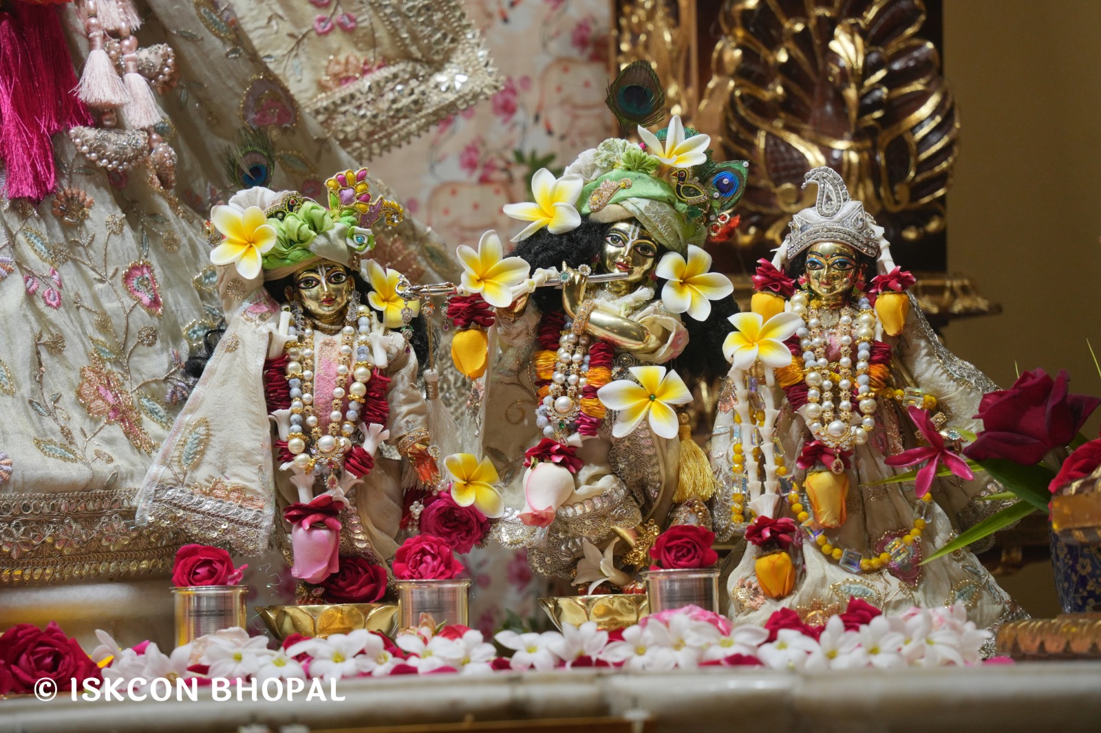 WhatsApp Image 2026-02-21 at 8.05.18 AM (2)