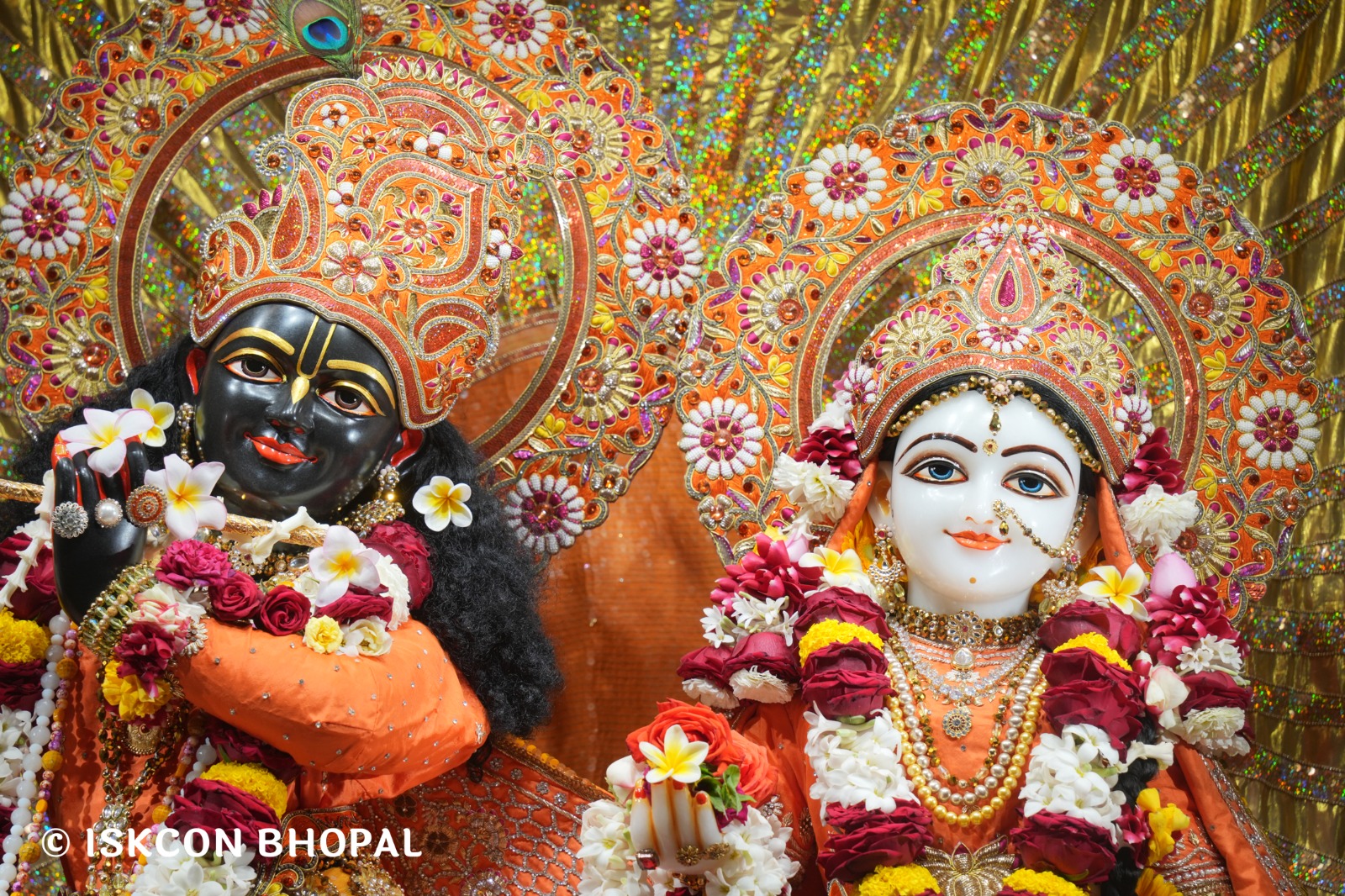 WhatsApp Image 2026-02-23 at 10.57.07 AM (1)