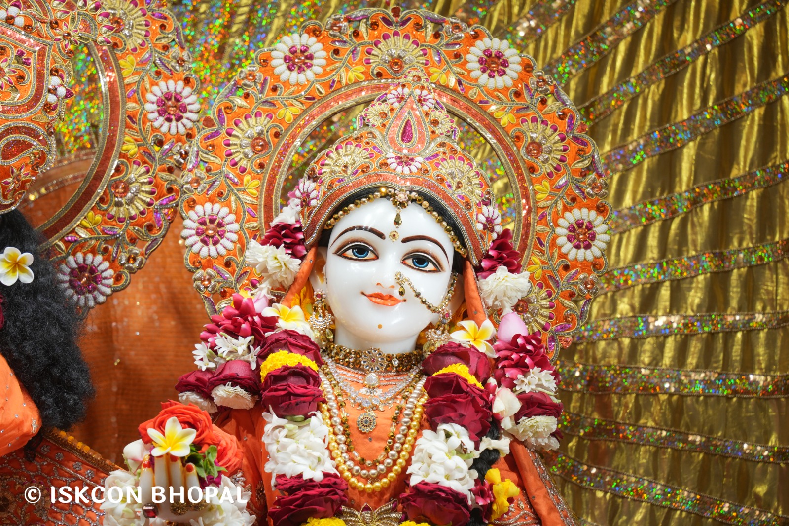 WhatsApp Image 2026-02-23 at 10.57.07 AM (3)