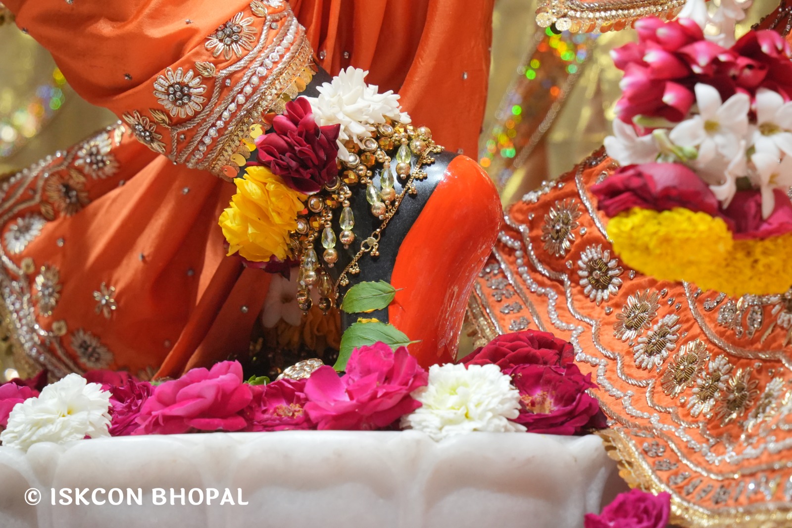 WhatsApp Image 2026-02-23 at 10.57.08 AM (1)