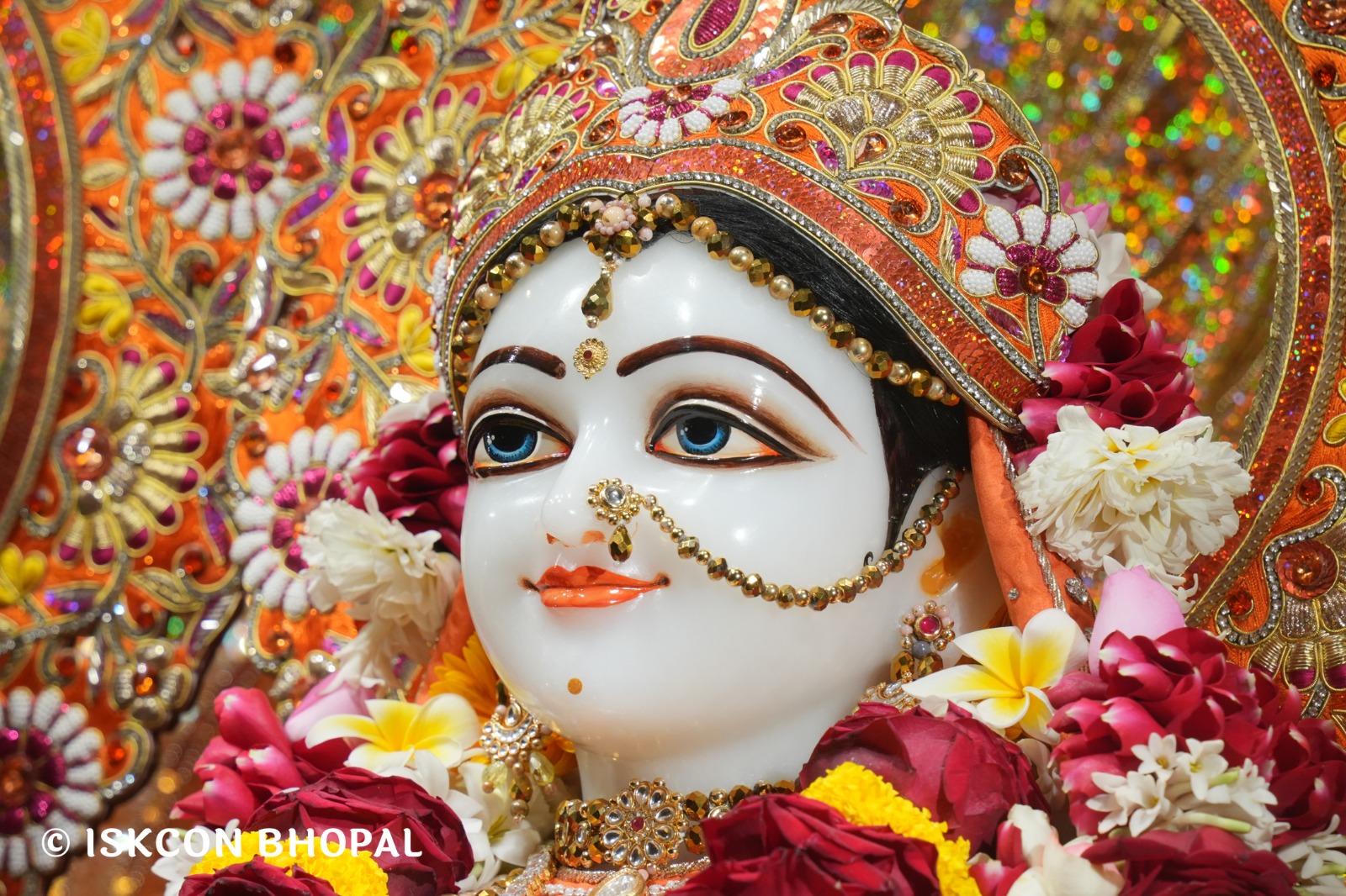 WhatsApp Image 2026-02-23 at 10.57.08 AM (3)