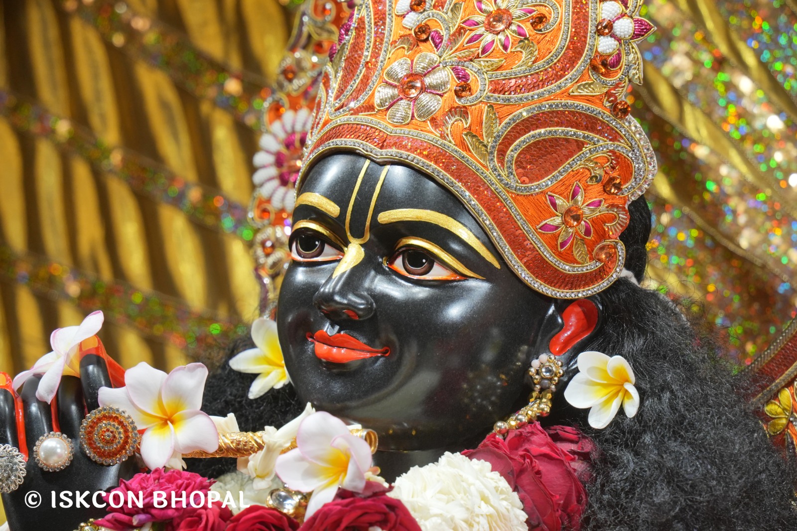 WhatsApp Image 2026-02-23 at 10.57.08 AM (4)