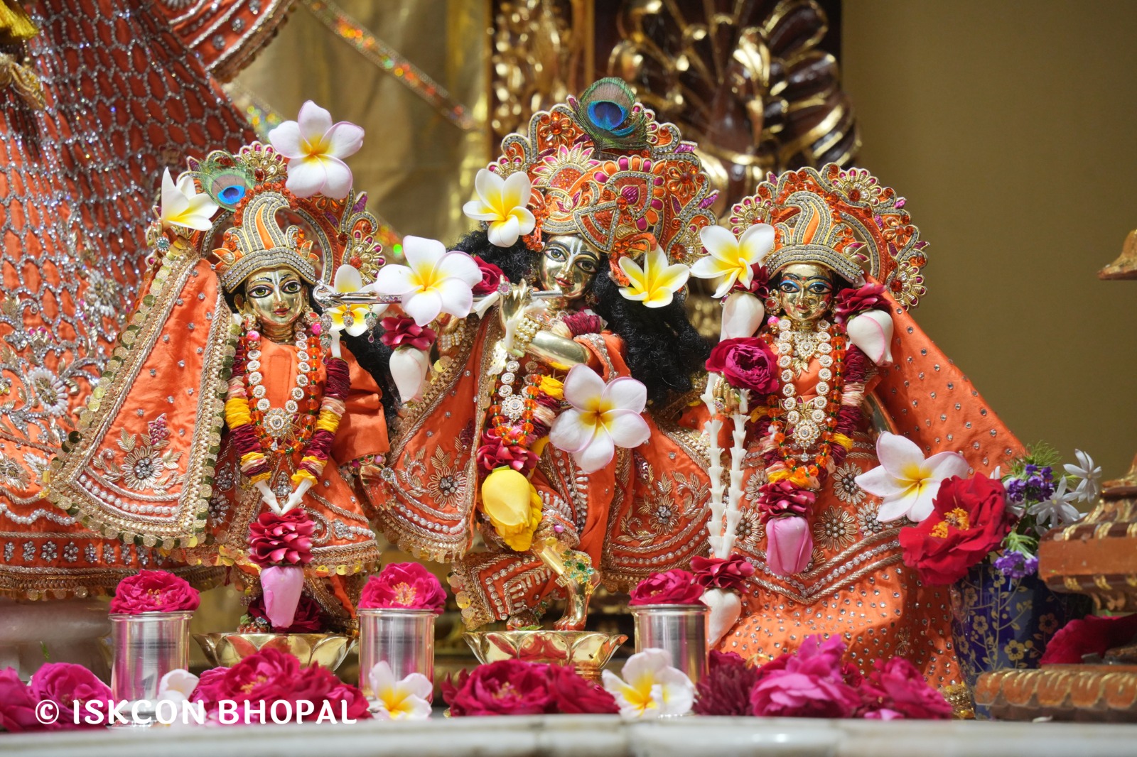 WhatsApp Image 2026-02-23 at 10.57.08 AM (5)