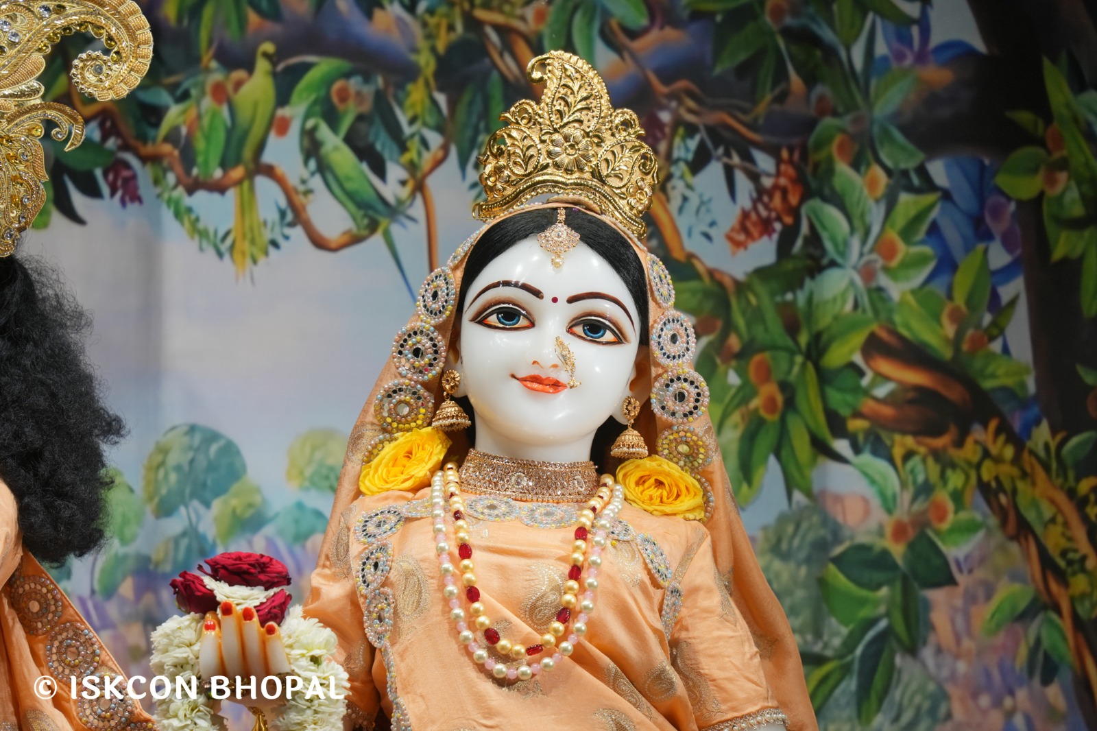 WhatsApp Image 2026-02-23 at 7.51.02 AM (1)