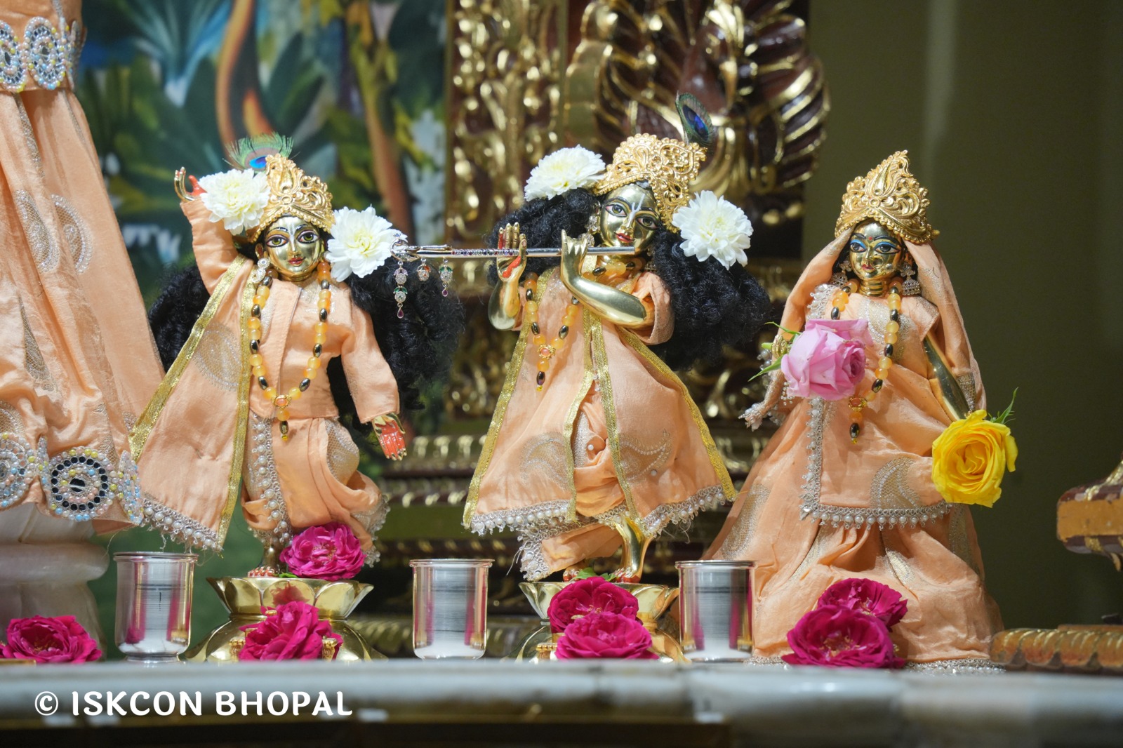 WhatsApp Image 2026-02-23 at 7.51.02 AM (2)