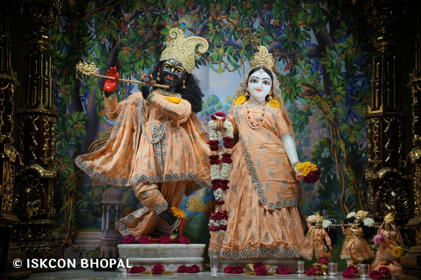 WhatsApp Image 2026-02-23 at 7.51.03 AM (1)