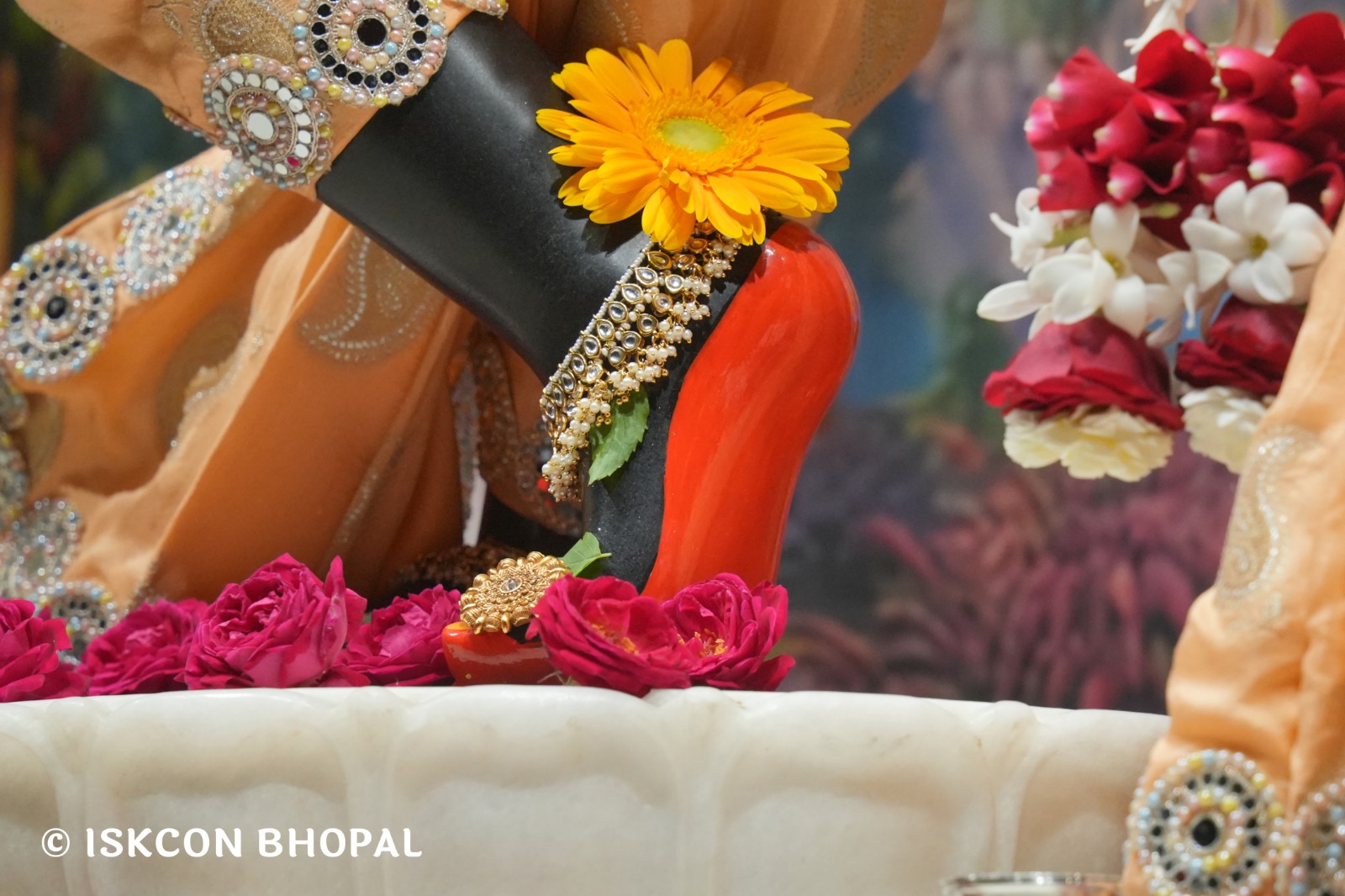 WhatsApp Image 2026-02-23 at 7.51.04 AM