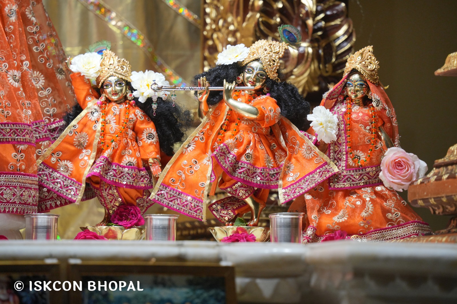 WhatsApp Image 2026-02-24 at 7.42.03 AM (2)