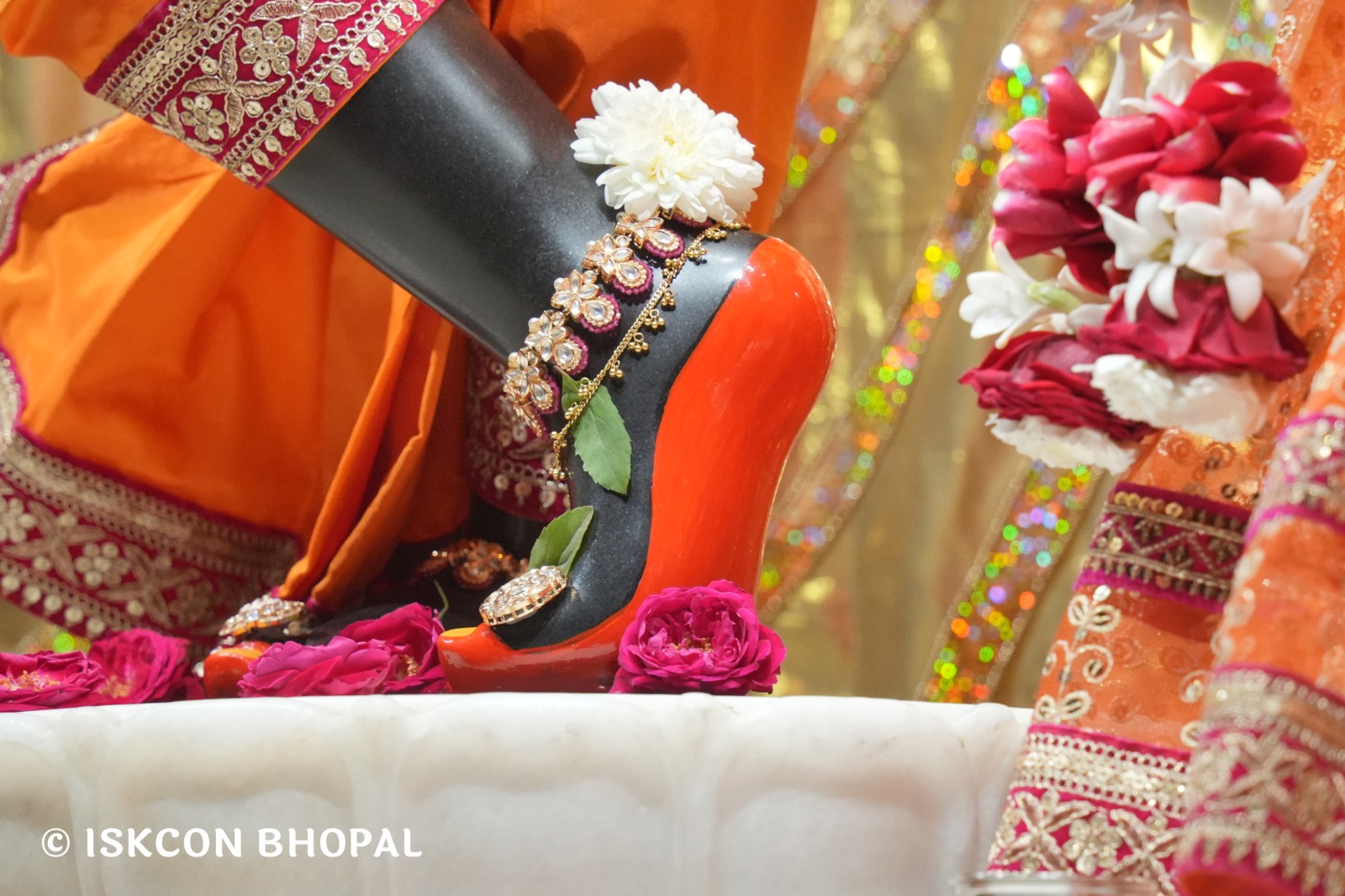 WhatsApp Image 2026-02-24 at 7.42.03 AM (3)