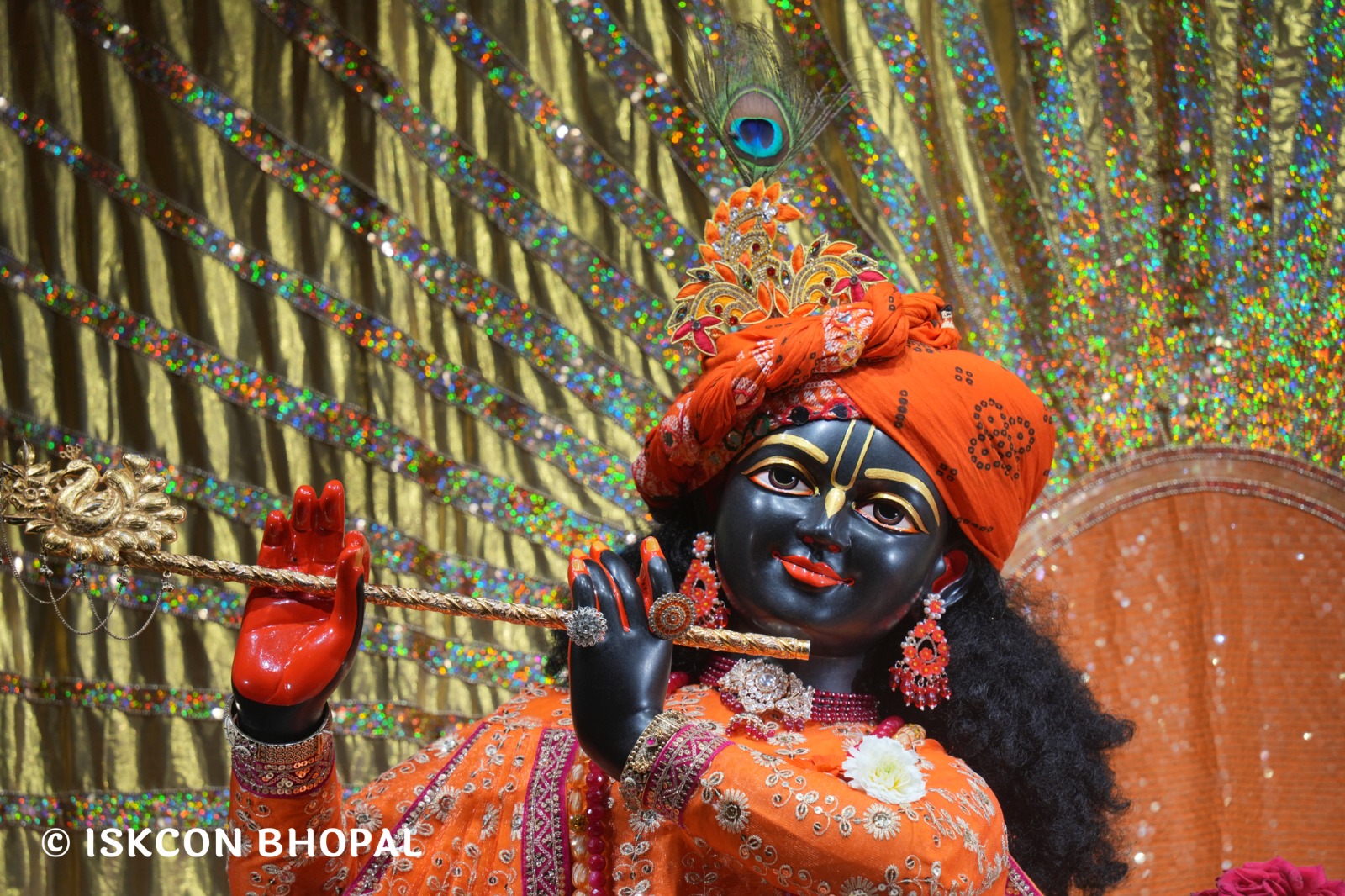 WhatsApp Image 2026-02-24 at 7.42.03 AM (4)