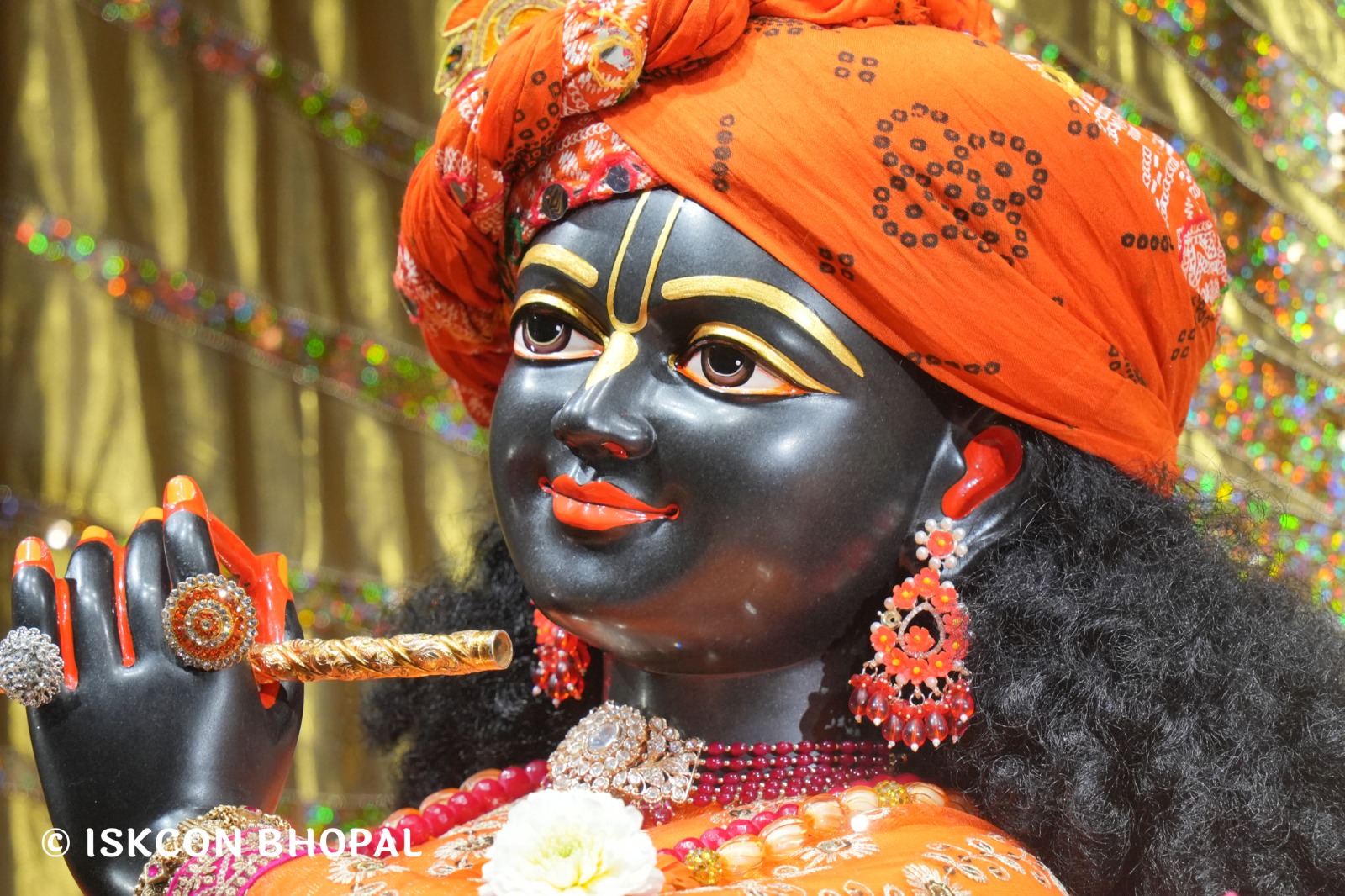 WhatsApp Image 2026-02-24 at 7.42.04 AM (1)