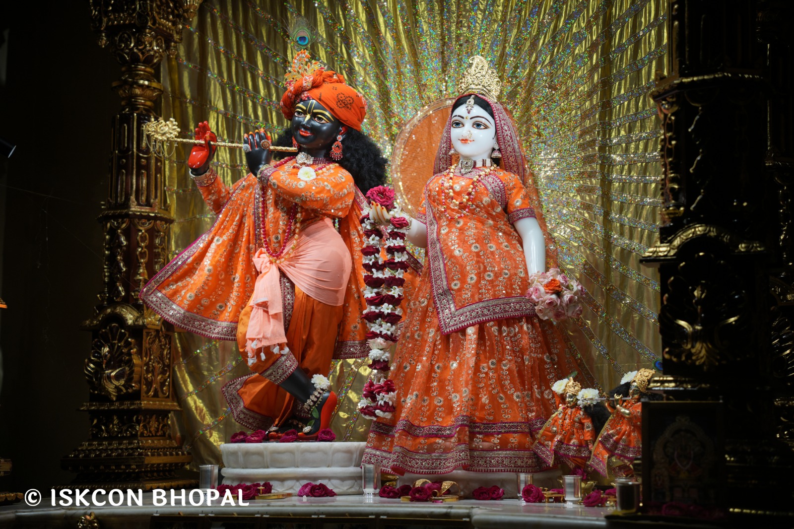 WhatsApp Image 2026-02-24 at 7.42.04 AM (2)