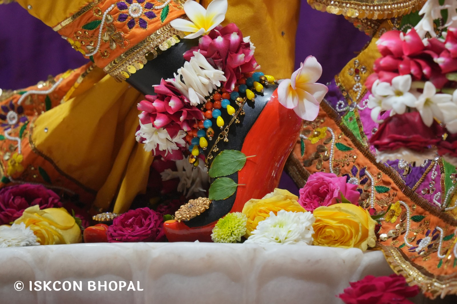 WhatsApp Image 2026-02-24 at 7.44.10 AM