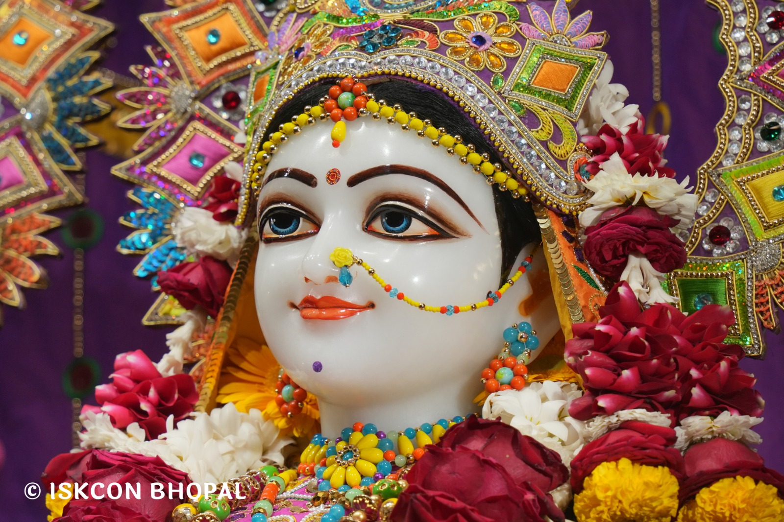 WhatsApp Image 2026-02-24 at 7.44.11 AM