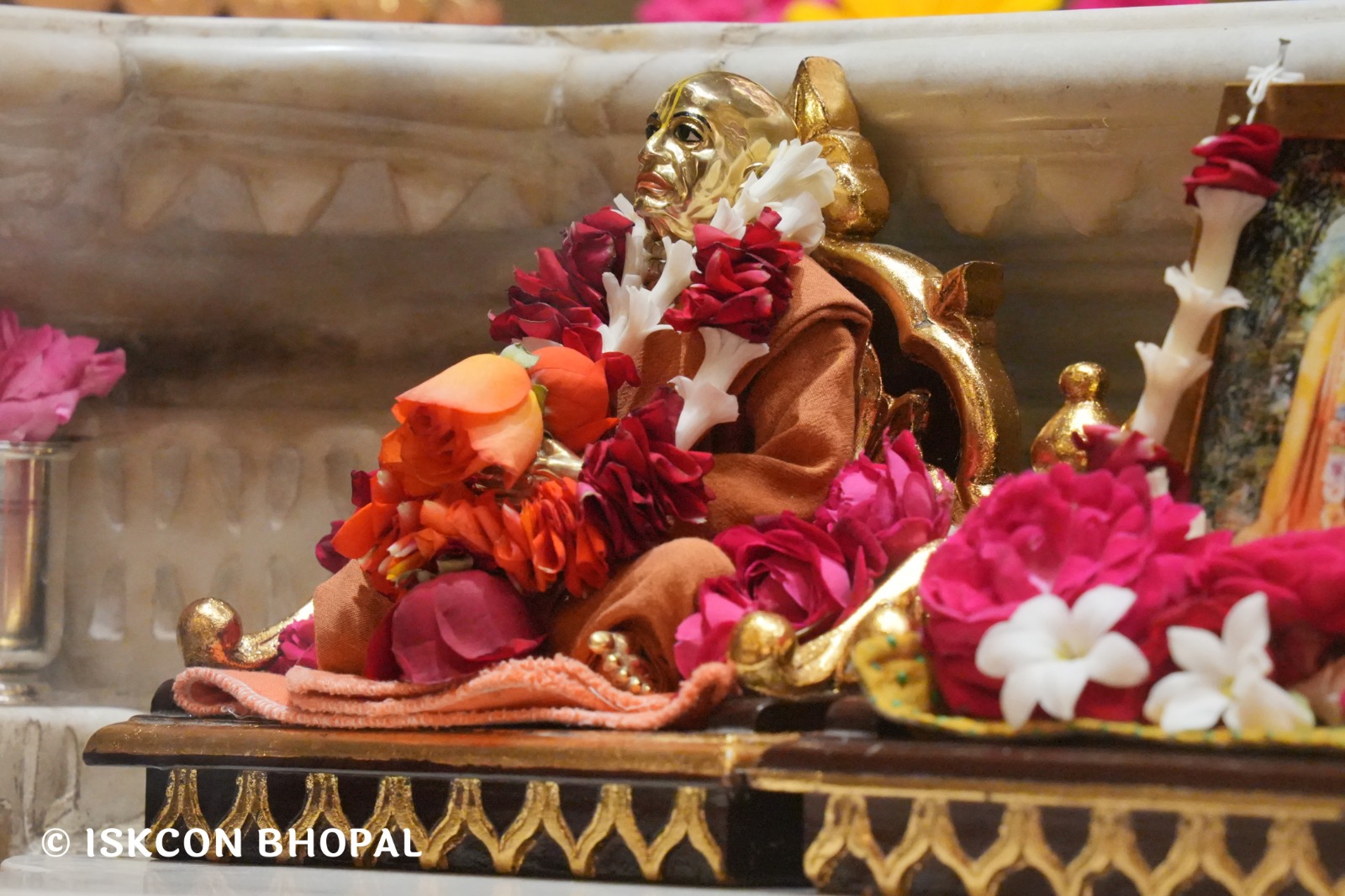 WhatsApp Image 2026-02-24 at 7.44.12 AM (1)