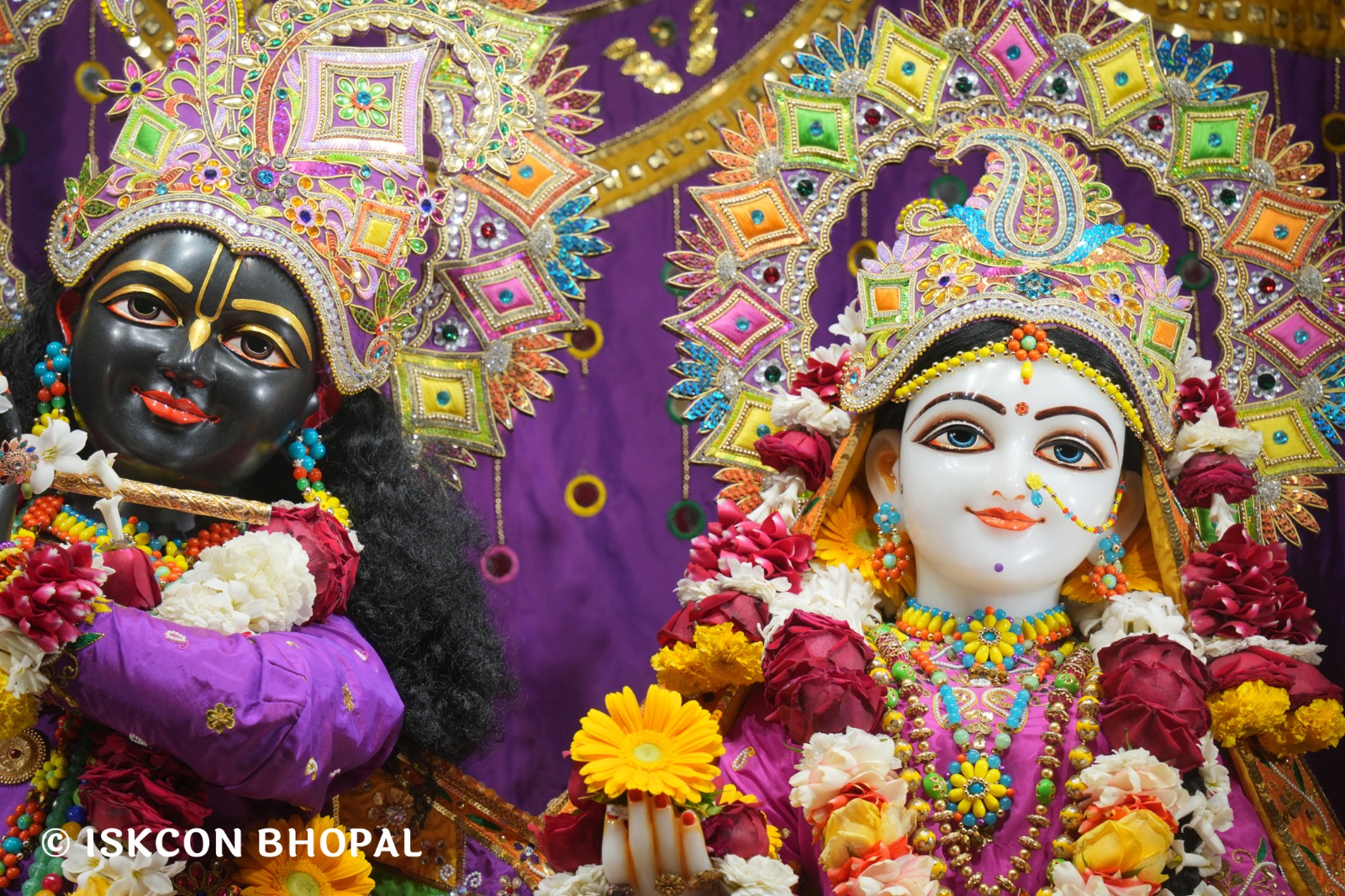 WhatsApp Image 2026-02-24 at 7.44.12 AM