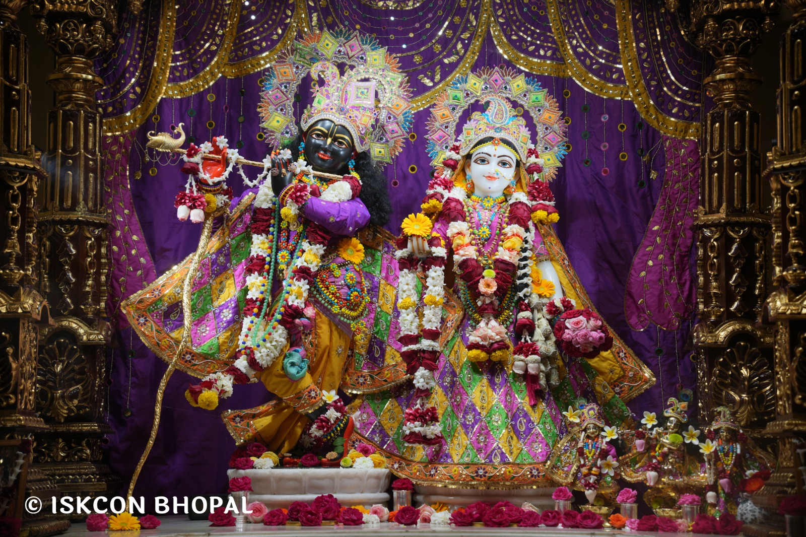 WhatsApp Image 2026-02-24 at 7.44.13 AM