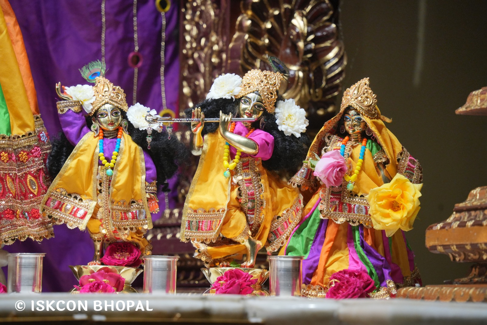 WhatsApp Image 2026-02-25 at 7.10.13 AM