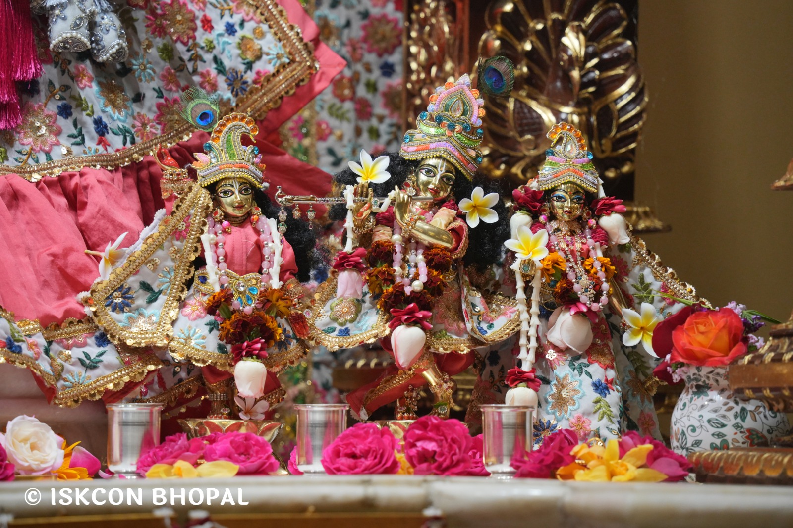 WhatsApp Image 2026-02-25 at 8.06.11 AM