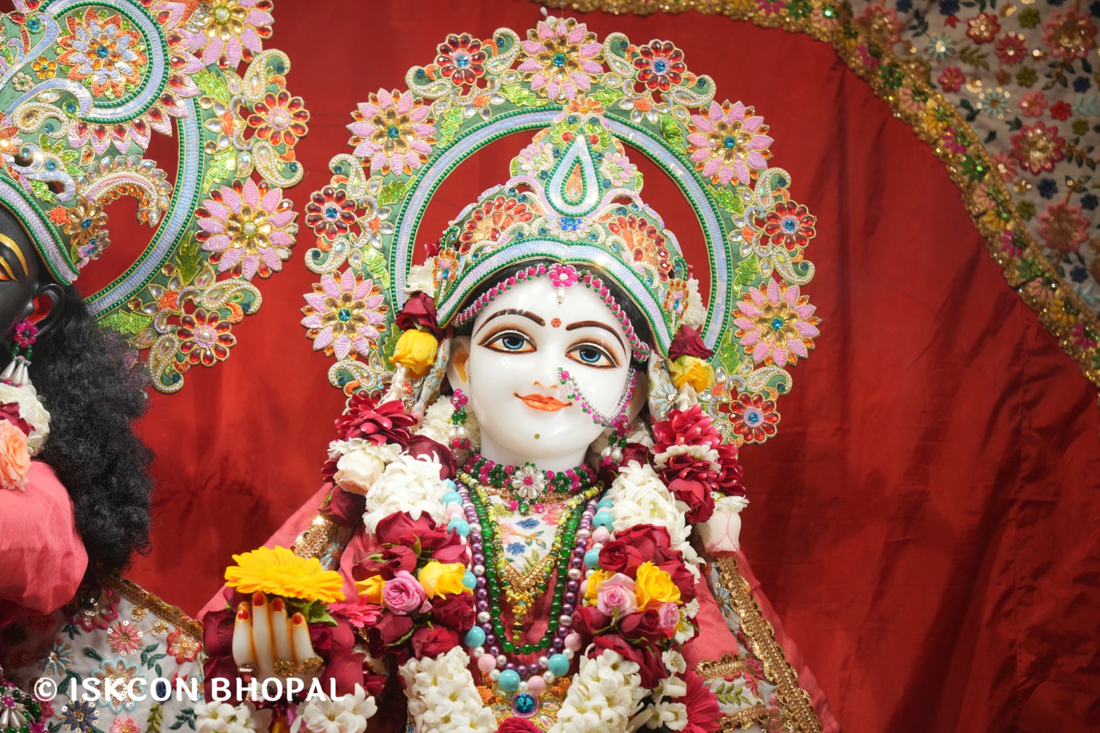 WhatsApp Image 2026-02-25 at 8.06.13 AM (1)