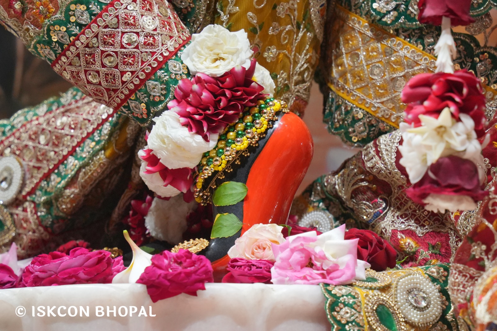 WhatsApp Image 2026-02-26 at 11.47.00 AM (1)