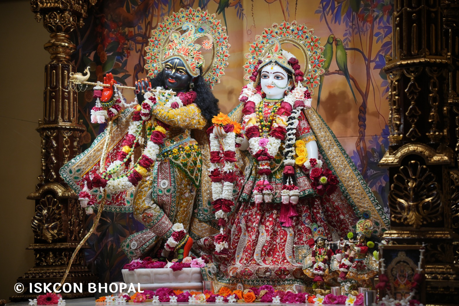 WhatsApp Image 2026-02-26 at 11.47.01 AM (2)