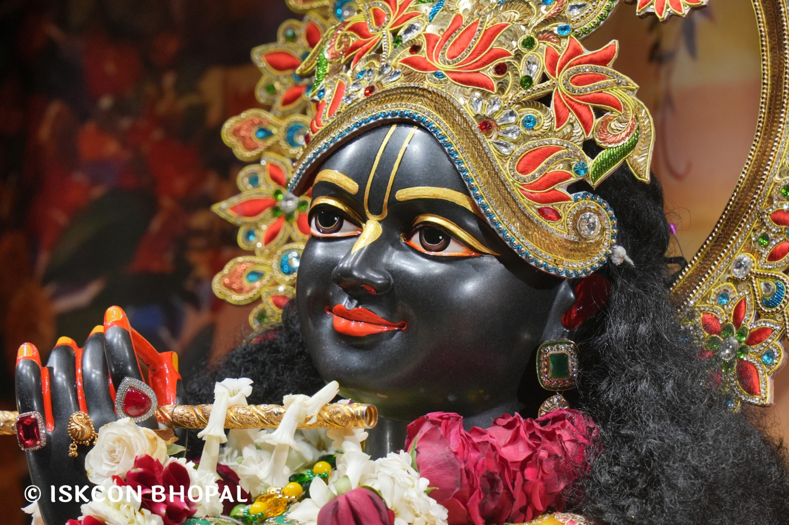 WhatsApp Image 2026-02-26 at 11.47.01 AM (3)