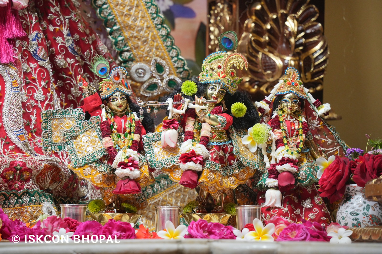 WhatsApp Image 2026-02-26 at 11.47.01 AM