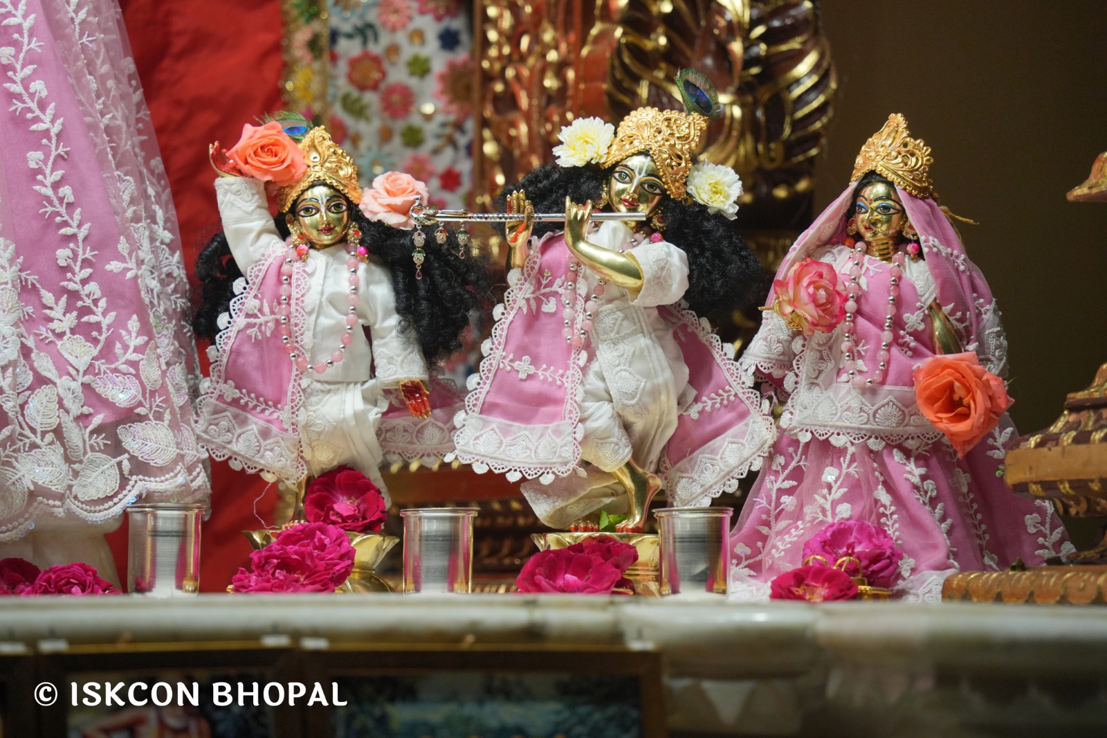 WhatsApp Image 2026-02-26 at 5.19.52 AM (3)