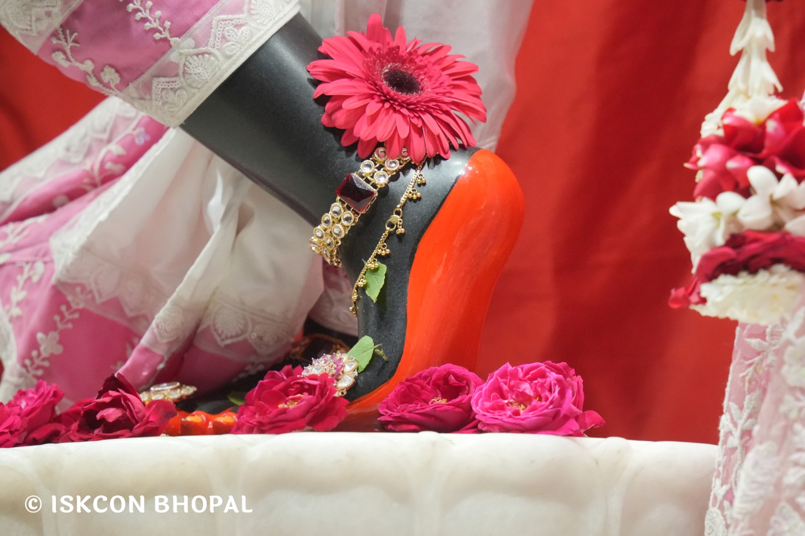 WhatsApp Image 2026-02-26 at 5.19.53 AM