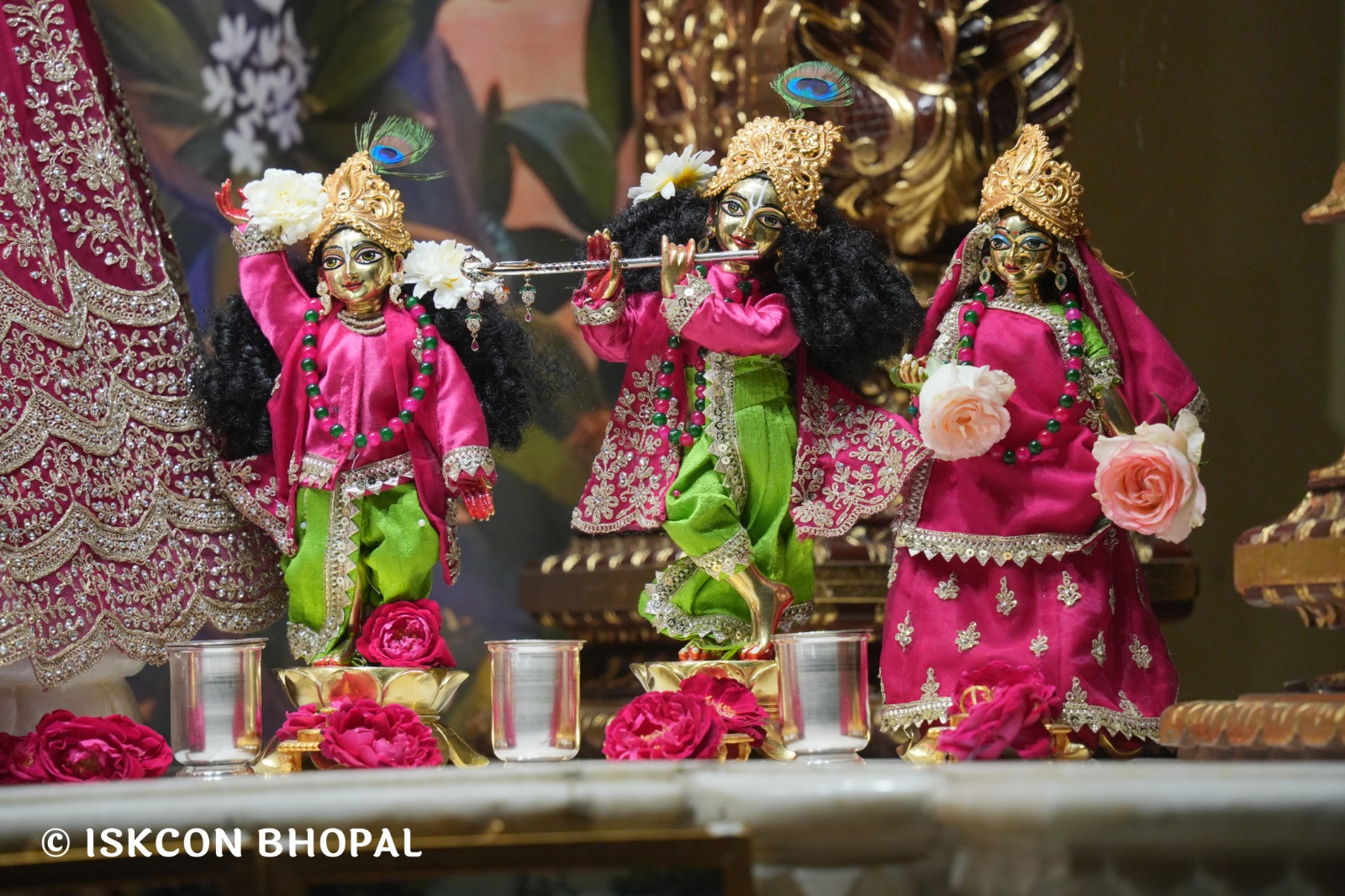 WhatsApp Image 2026-02-27 at 6.51.27 AM (1)