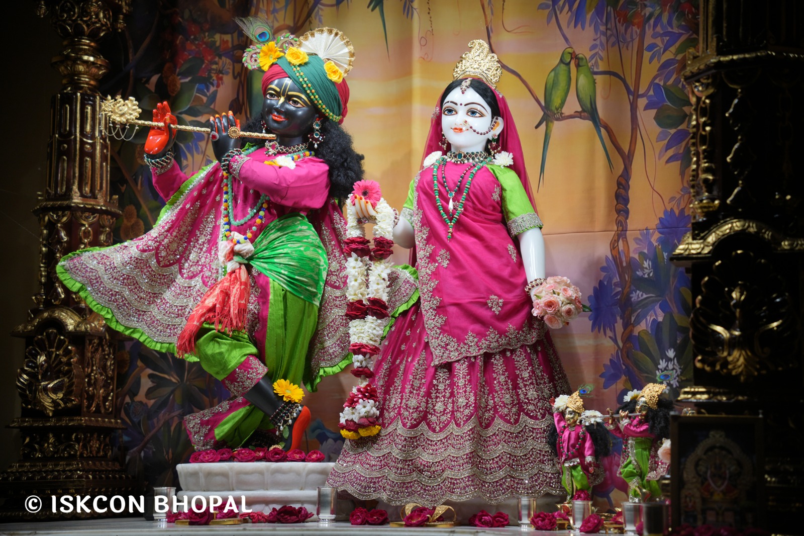 WhatsApp Image 2026-02-27 at 6.51.28 AM (1)