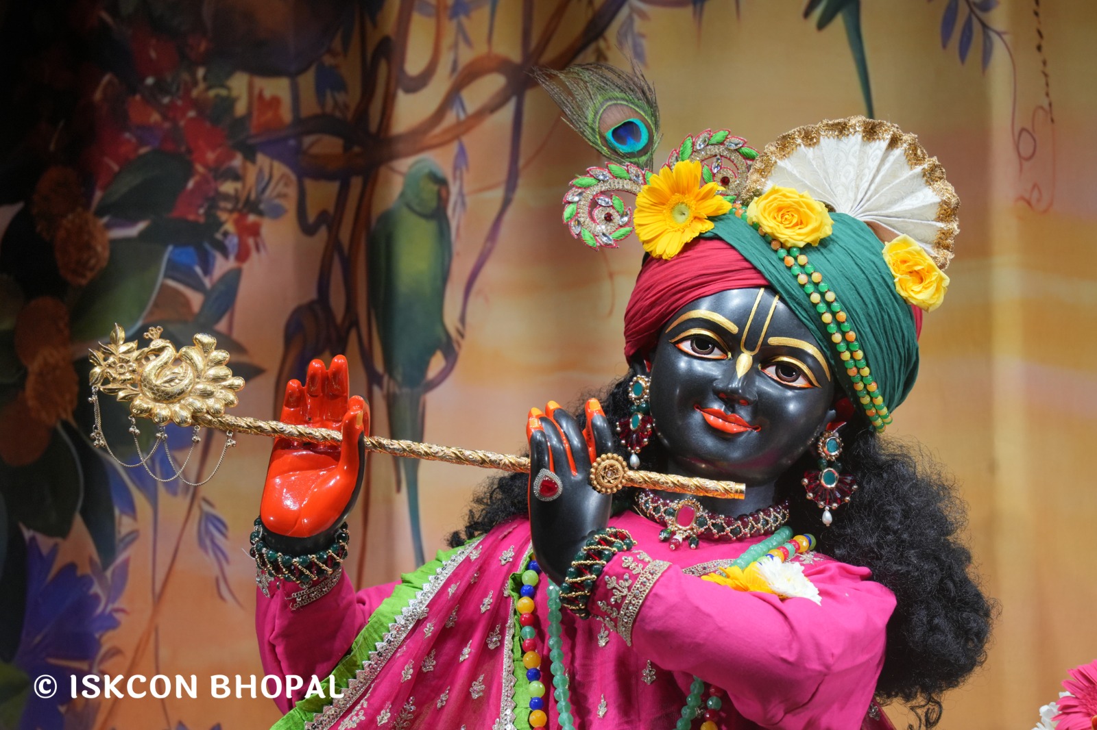 WhatsApp Image 2026-02-27 at 6.51.28 AM (2)