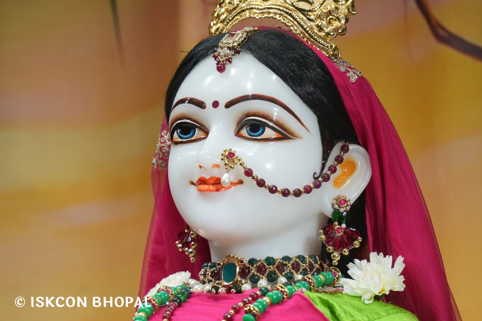 WhatsApp Image 2026-02-27 at 6.51.29 AM (1)