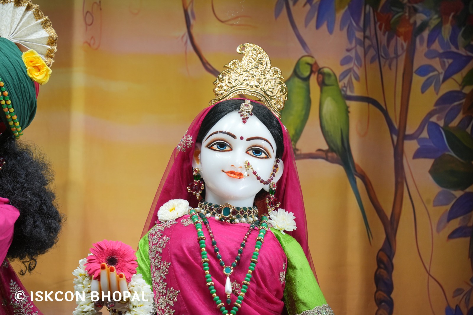 WhatsApp Image 2026-02-27 at 6.51.29 AM