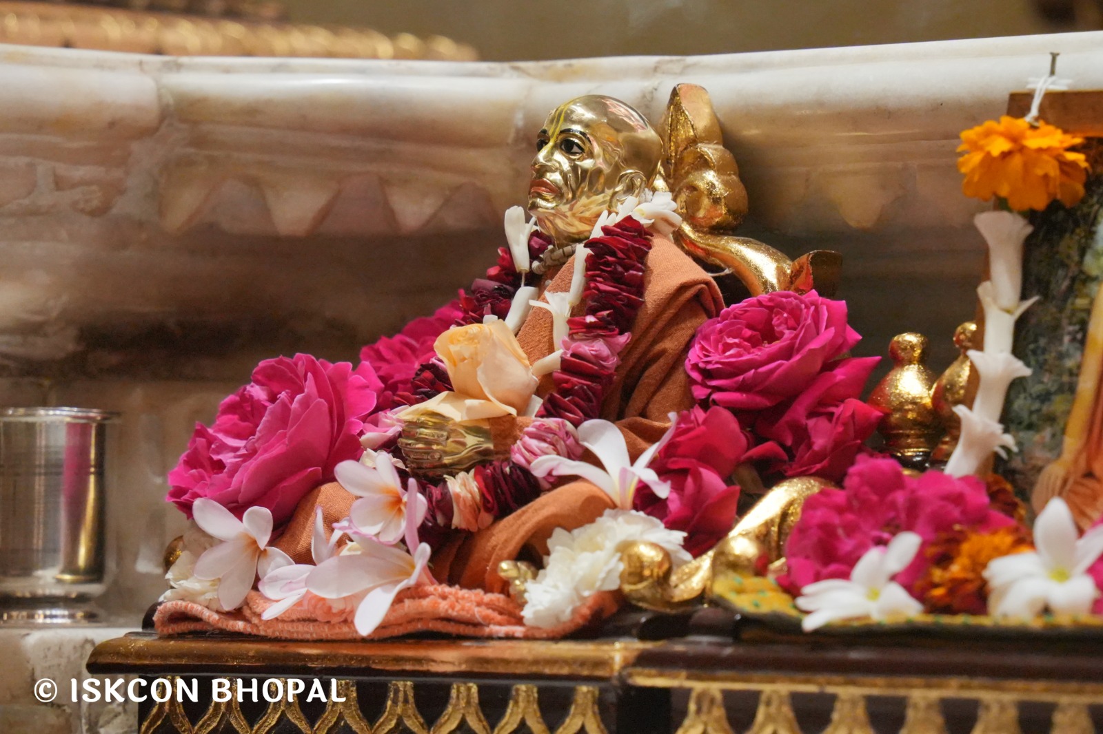 WhatsApp Image 2026-02-27 at 8.09.01 AM (1)