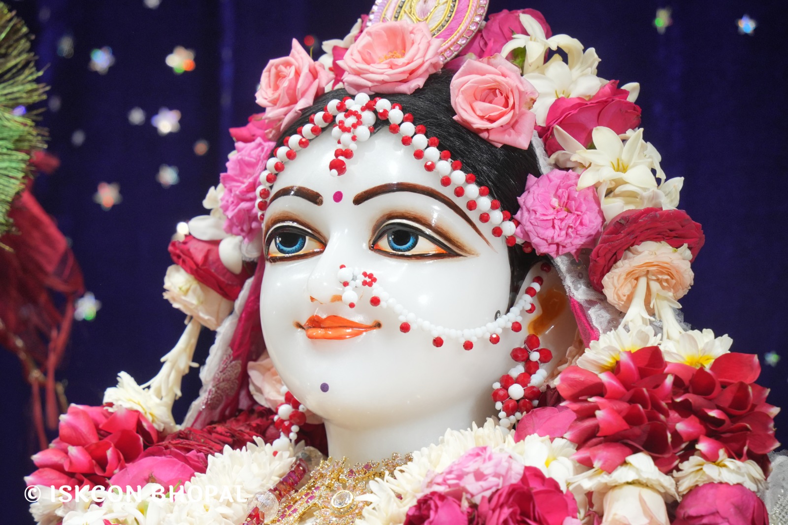 WhatsApp Image 2026-02-27 at 8.09.01 AM (2)