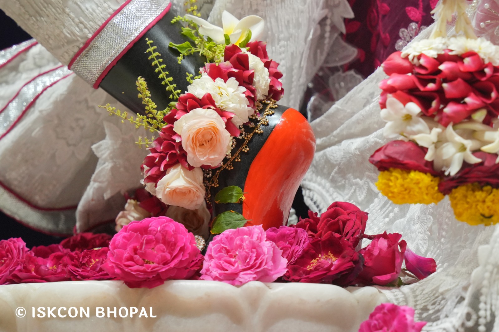 WhatsApp Image 2026-02-27 at 8.09.01 AM