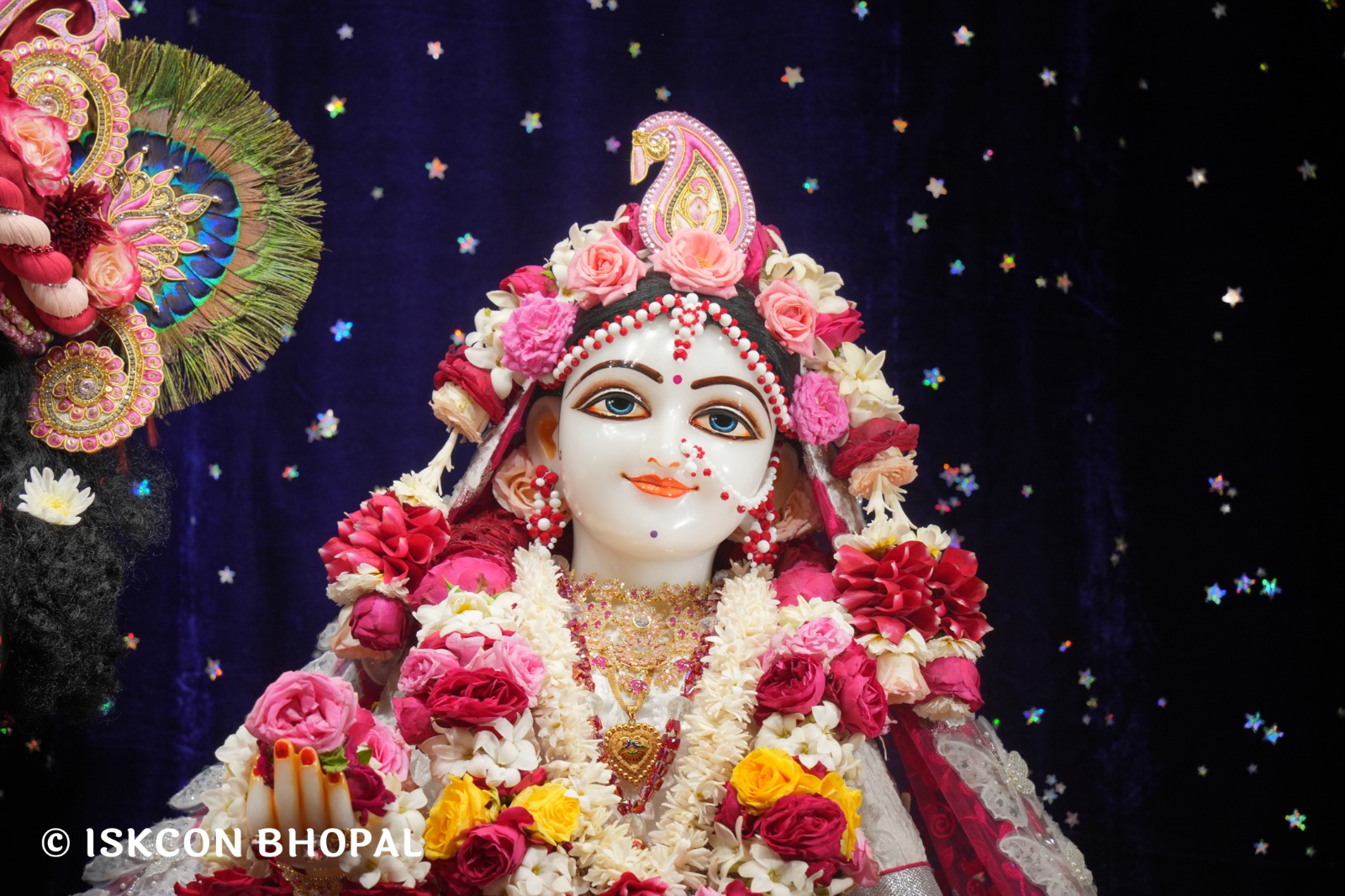 WhatsApp Image 2026-02-27 at 8.09.02 AM (1)